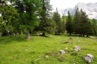 2015-06-25_05Drijaggenalm (176)b.JPG
